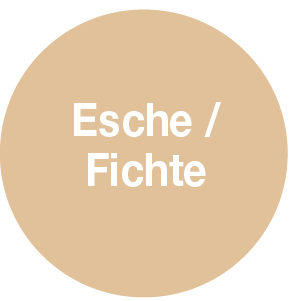 FP100 Esche/Fichte