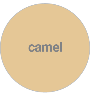 FX66 Camel