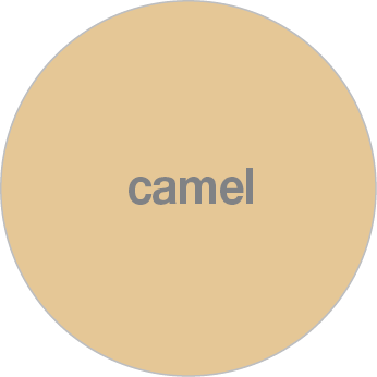 SF50 Camel